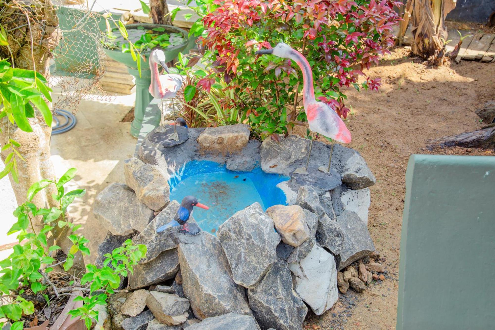 מיריסה Hispaniola Inn מראה חיצוני תמונה